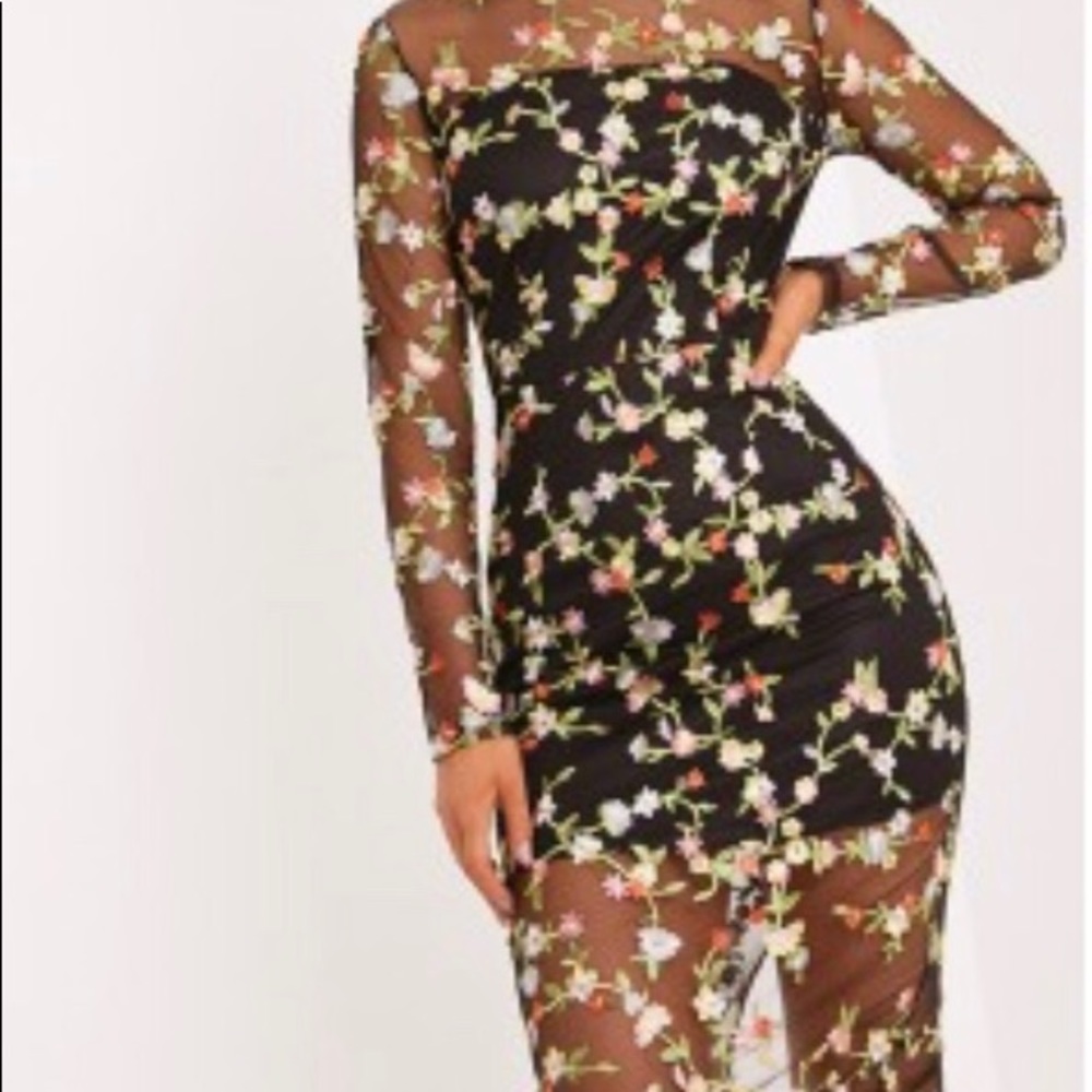 Pretty Little Things Embroidered Mesh Midi Dress